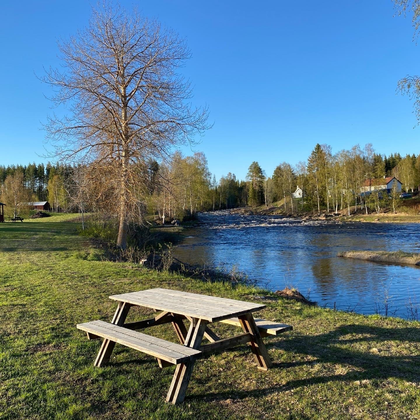 Åmsele Camping